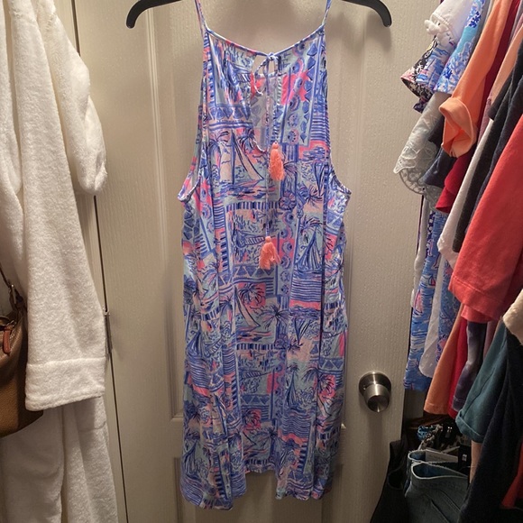 Lilly Pulitzer Margot Dress - Picture 5 of 5